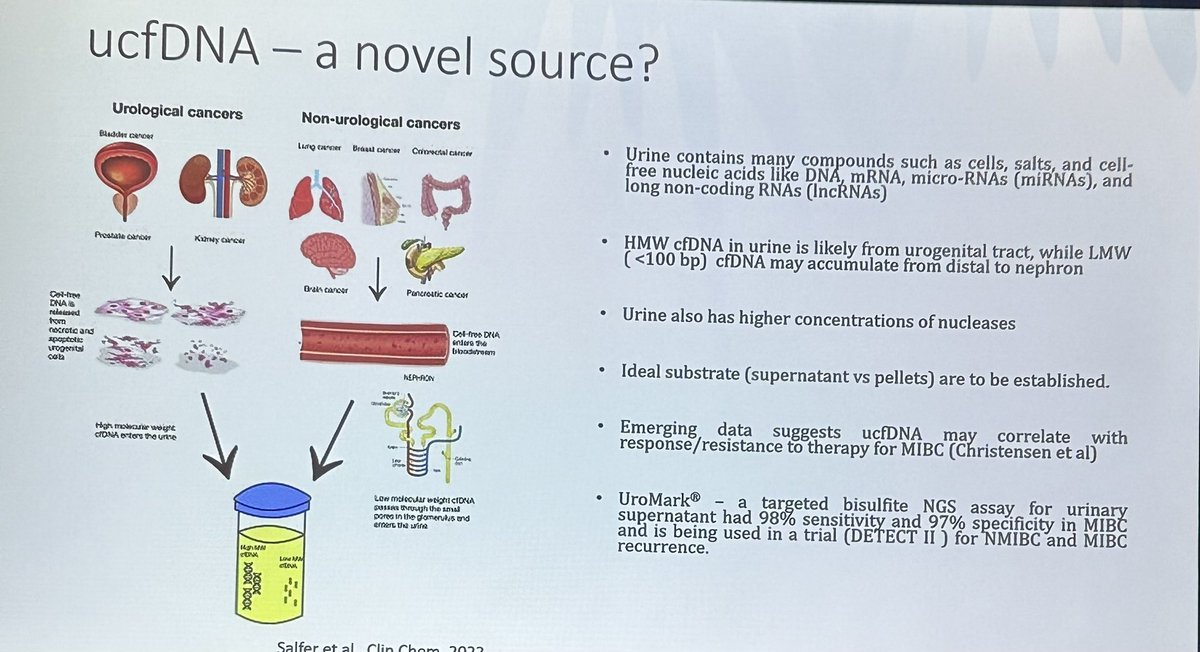 CParkMD's tweet photo. Dr. Arnab Basu gives a comprehensive discussion of NGS Molecular Testing in blood or tissue. Also discusses the promise of urine cfDNA and lymphatic liquid biopsies at #MatosGU25 @arnabguonc 
@Rafee_talukder @alantanmd  @PGrivasMDPhD 
@arnabguonc @LuisRaezMD 
@djmcconkey @ONealCancerUAB @OncLive @urotoday @brunolarvol @MedNewsWeek @OncoAlert @oncodaily