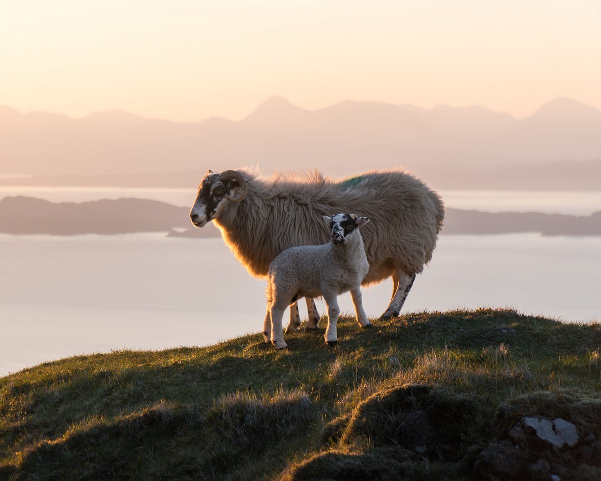 It may have just begun, but soon, spring in Scotland will be in full bloom 🌺

scotland.co