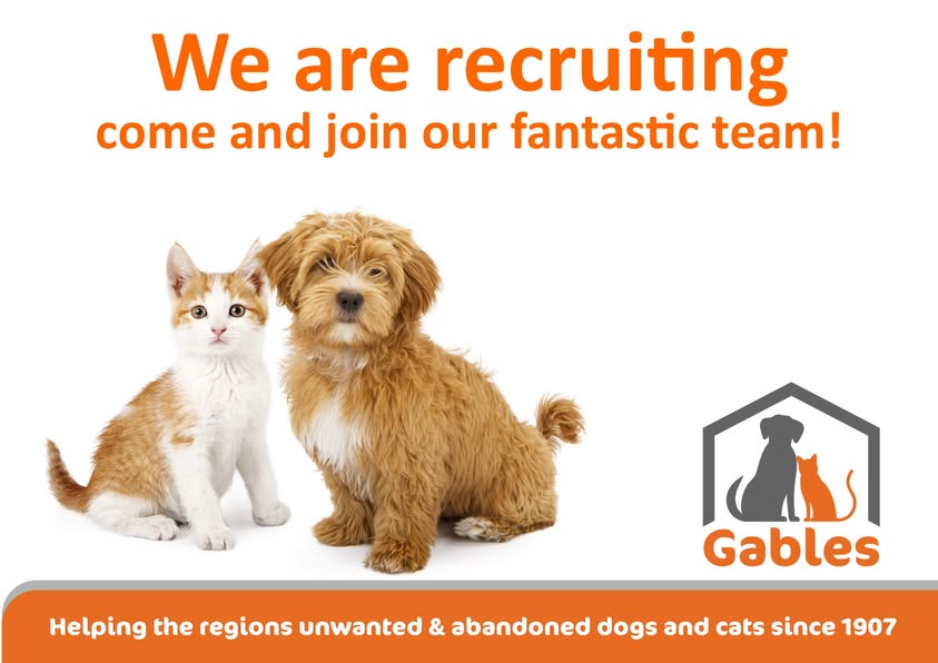 𝐖𝐞 𝐚𝐫𝐞 𝐫𝐞𝐜𝐫𝐮𝐢𝐭𝐢𝐧𝐠!!!
Are you great with people as well as animals? If so we may have the purrfect job for you - or someone you know. We are looking for a part time Fundraising &amp; Events Assistant...
gables.org.uk/about-us/job-v…