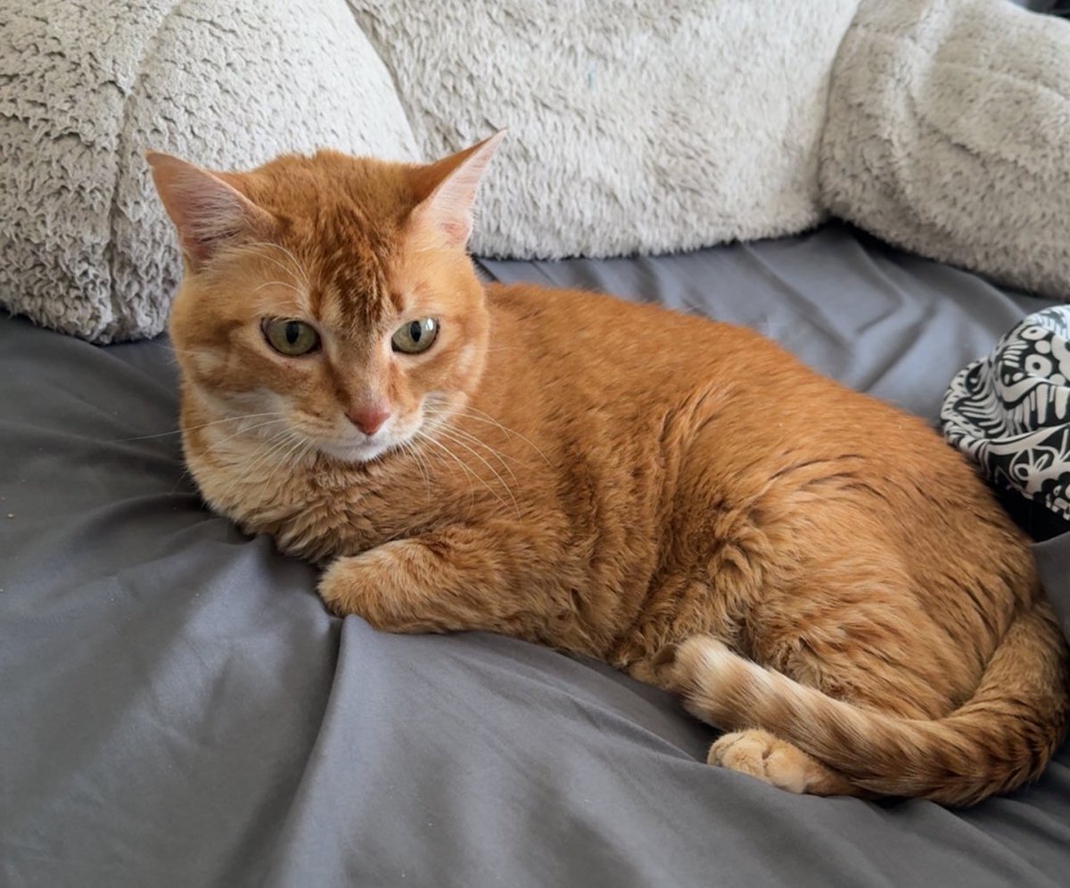 cath ☆ﾐ (@ctotheatherine) on Twitter photo 