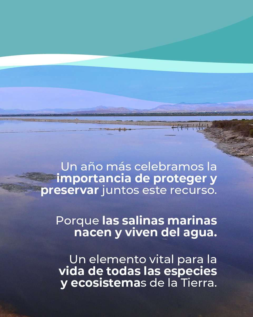 Asociación SALIMAR tweet media