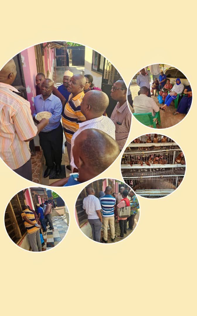 IMEDtz's tweet photo. At IMED,we believe true learning goes beyond theory. At yesterday’s session participants visited a retired entrepreneur thriving in livestock farming. His journey proves that with the right financial planning and mindset, retirement can be a season of growth and fulfillment. https://t.co/JLjEzUXHZN