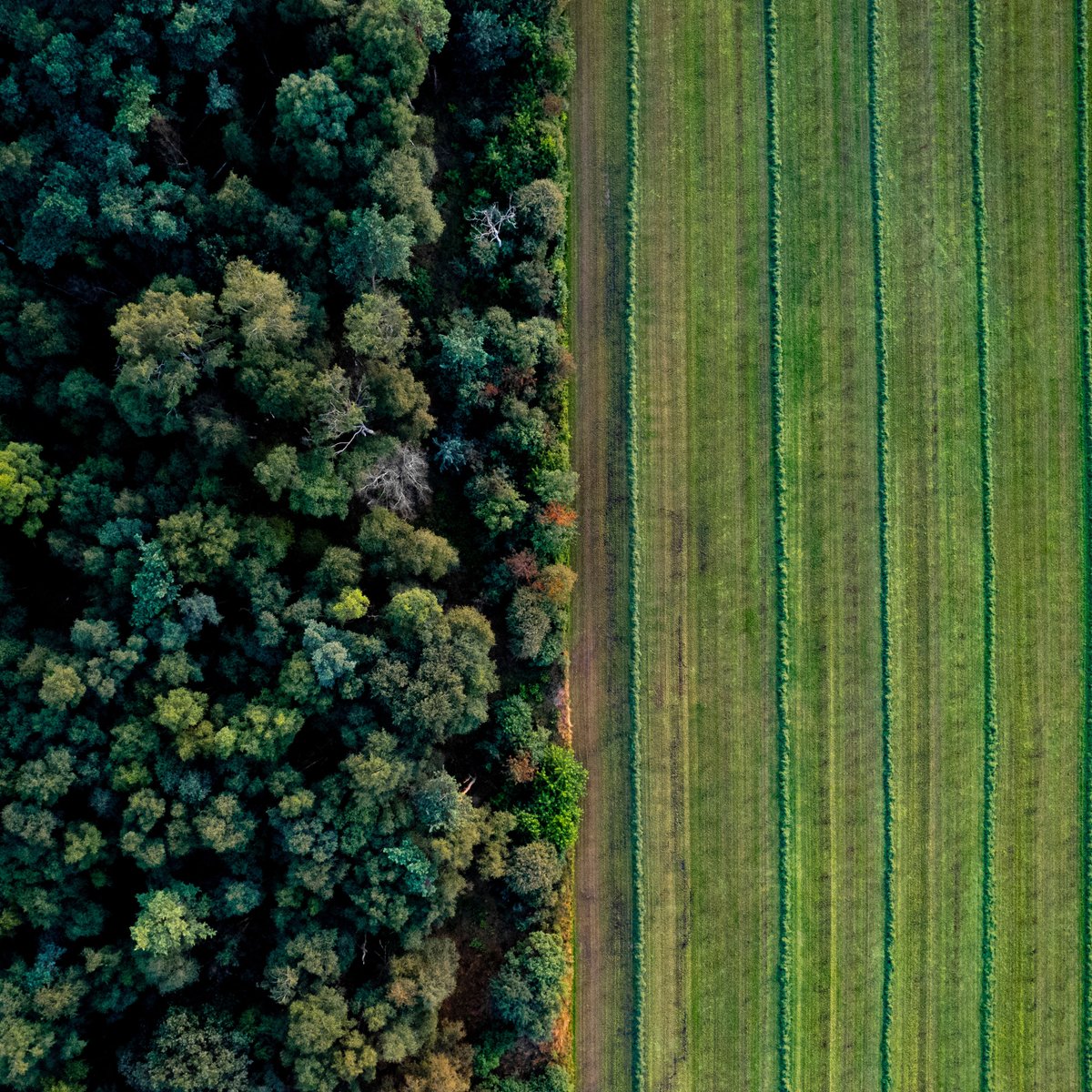 AGU (American Geophysical Union) (@theagu) on Twitter photo On #IntlForestDay, we celebrate the vital role forests play in food security. They enrich soil, protect water, and support pollinators.🌲
Learn more in AGU’s #OpenAccess journal <a href="/EarthsFutureEiC/">Earth's Future</a>: lite.spr.ly/6005Gzxt
📸: M. Zeehandelaar, Adobe Stock
#AGUPubs #ForestDay On #IntlForestDay, we celebrate the vital role forests play in food security. They enrich soil, protect water, and support pollinators.🌲
Learn more in AGU’s #OpenAccess journal <a href="/EarthsFutureEiC/">Earth's Future</a>: lite.spr.ly/6005Gzxt
📸: M. Zeehandelaar, Adobe Stock
#AGUPubs #ForestDay