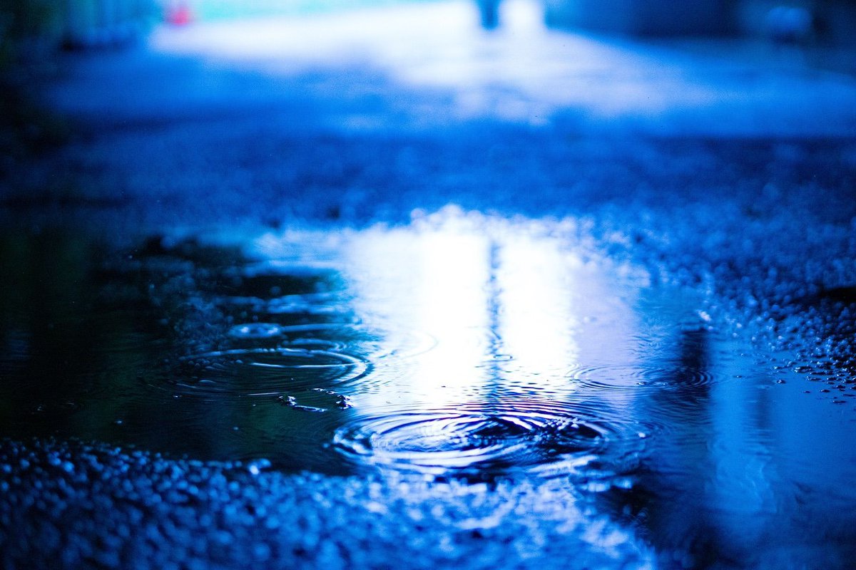 ReadyToGoRVA's tweet photo. “All I can say is that my life is pretty plain
I like watching the puddles gather rain
And all I can do is just pour some tea for two
And speak my point of view, but it’s not sane”
- Blind Melon (Shannon Hoon) 

#rva #goodvibes https://t.co/Jx0YNipjW2