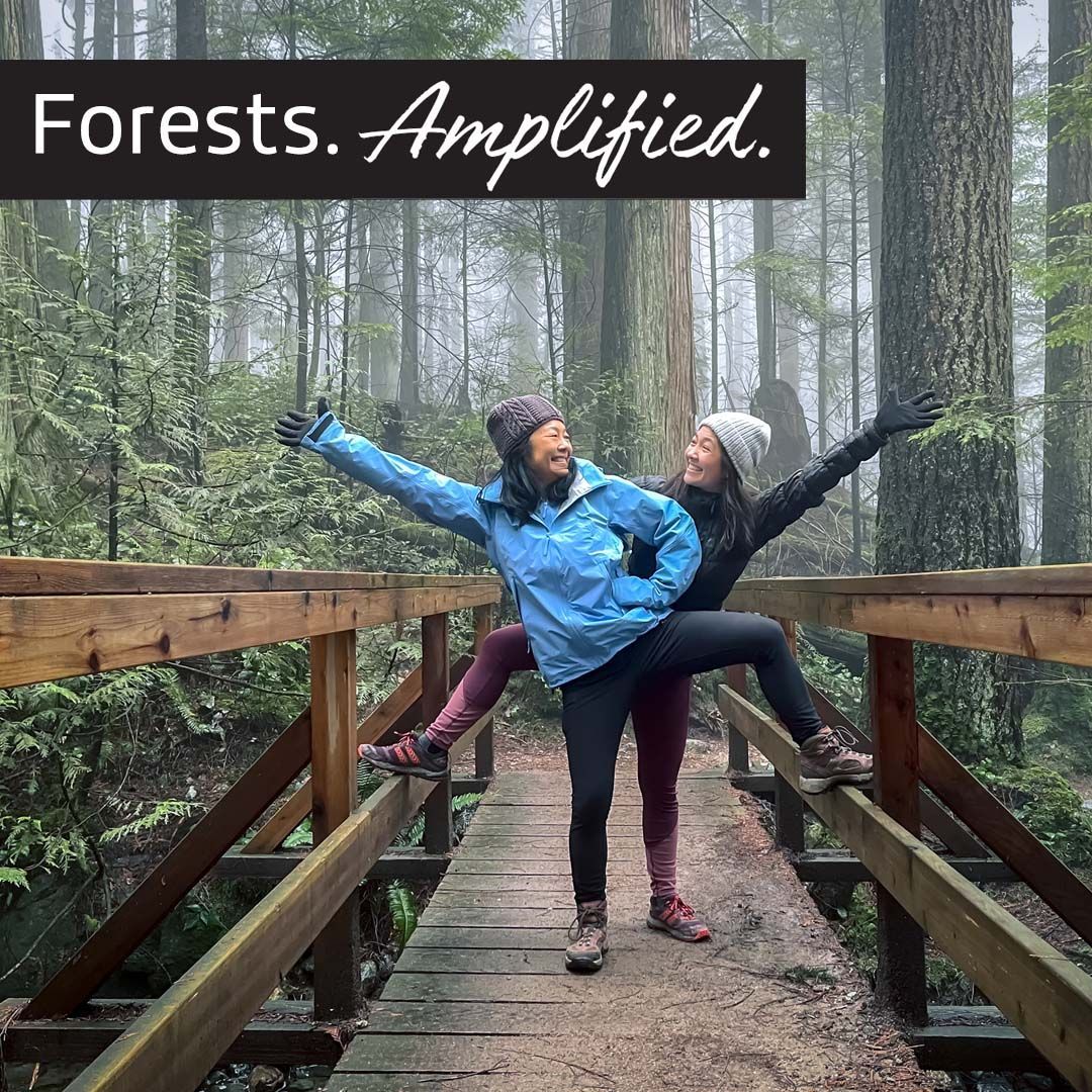 "In a forest of a hundred thousand trees, no two leaves are alike. And no two journeys along the same path are alike." - Paolo Coelho
#forest #forests #tree #trees #internationaldayofforests2025 #internationaldayofforests #paolocoelho #LifeAmplified #ClarityProducts