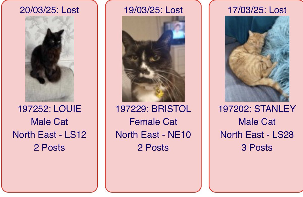 VetsGetScanning's tweet image. #MissingCatsDay

Have you seen Louie missing from #Armley, #Leeds, #WestYorkshire?  doglost.co.uk/dog-blog.php?d…

Have you seen Bristol missing from #Pelaw, #Gateshead, #TyneAndWear? doglost.co.uk/dog-blog.php?d…

Have you seen Stanley missing from #Pudsey, #Leeds, #WestYorkshire?