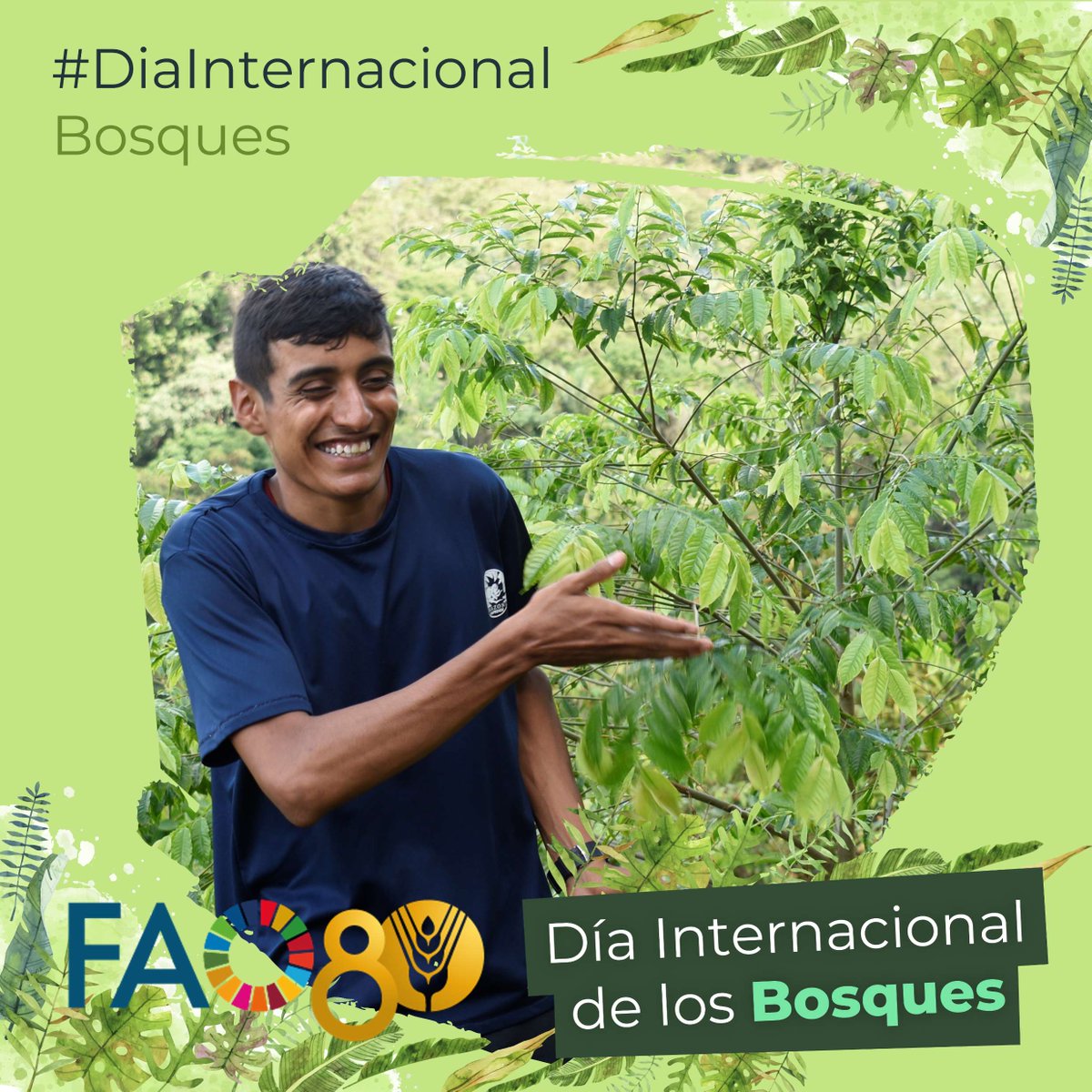 FAO Colombia tweet media