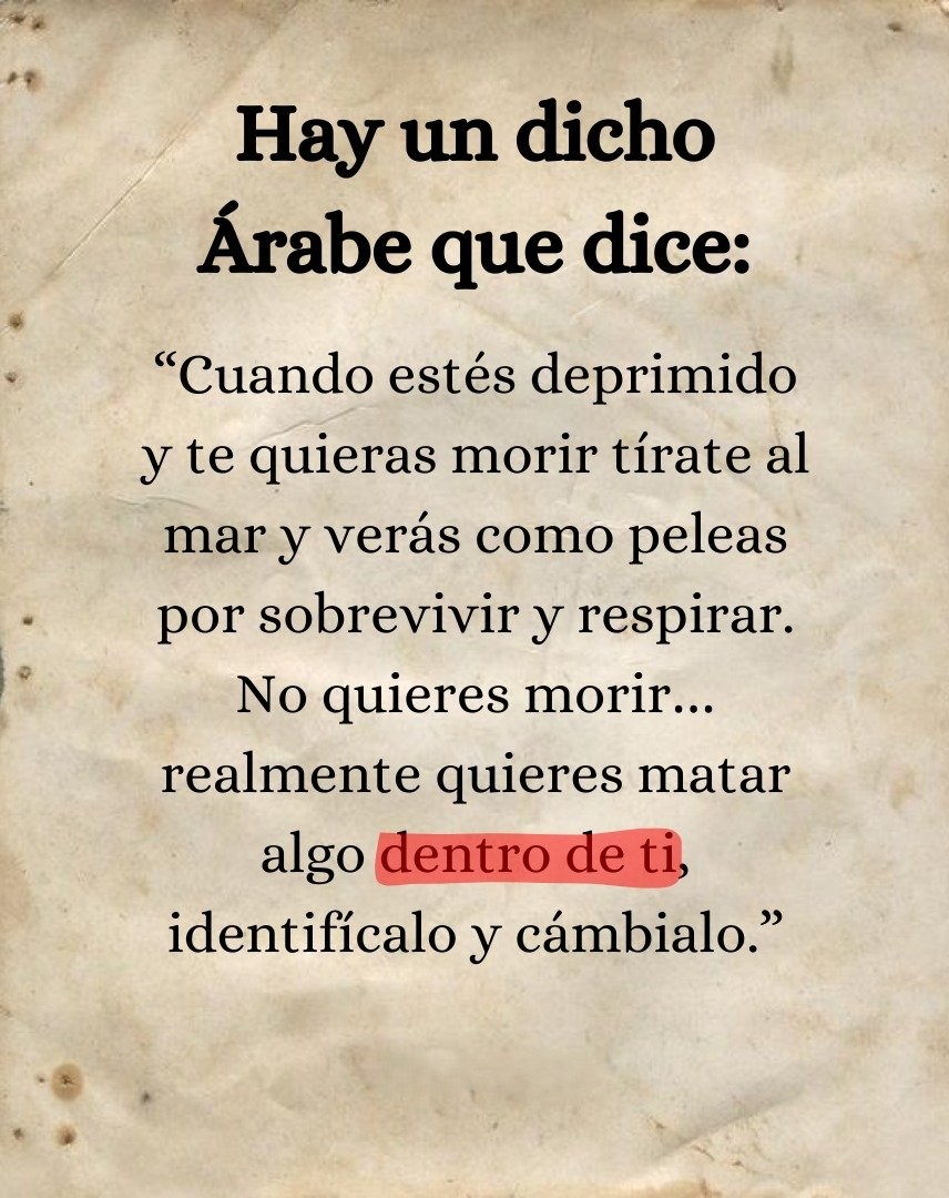 Hay un dicho Árabe que dice: