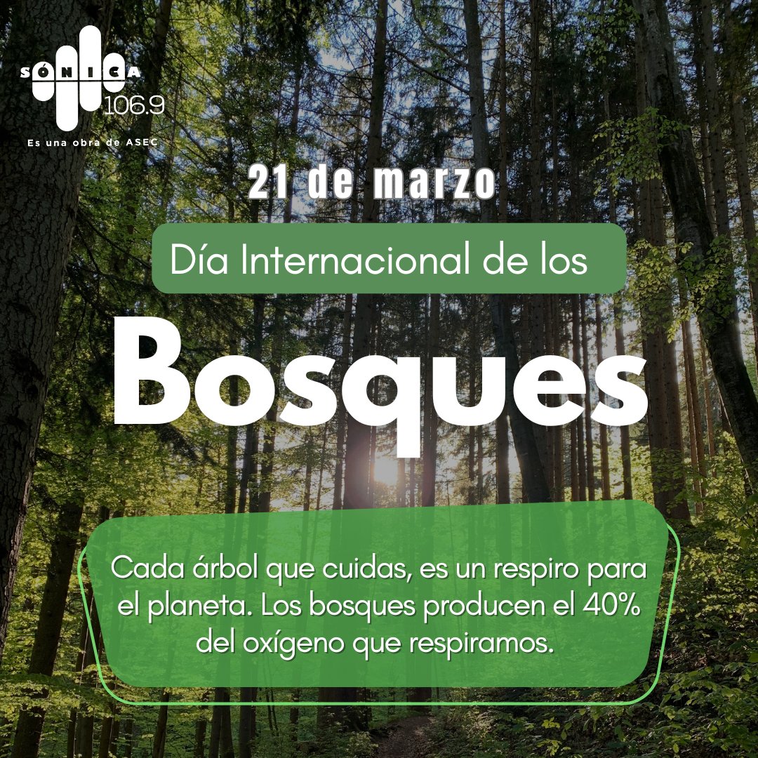 Protejamos juntos los pulmones verdes de la tierra, plantando árboles. ¡Cuidémoslos para tener
un mundo más saludable y sostenible! 
21 de marzo #DíaInternacionalDeLosBosques 
Sónica 1069 comprometidos con el planeta🌲🌲🌎