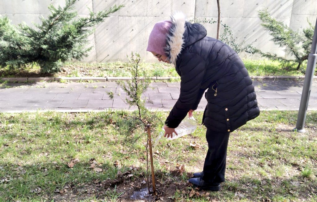 AnkaraKYGM's tweet photo. Geleceğe Nefes, Yeşil Vatana Umut 🌿

📍Mehmet Akif Yurdu’nda, "Yeşil Vatan İçin 500 Bin Fidan Projesi" kapsamında öğrencilerimizle birlikte yurt bahçemizde fidanlarımızı toprakla buluşturduk.

Her fidan, yarınlara bırakacağımız yeşil bir mirastır. 🌱 https://t.co/V1mtlPvyhz