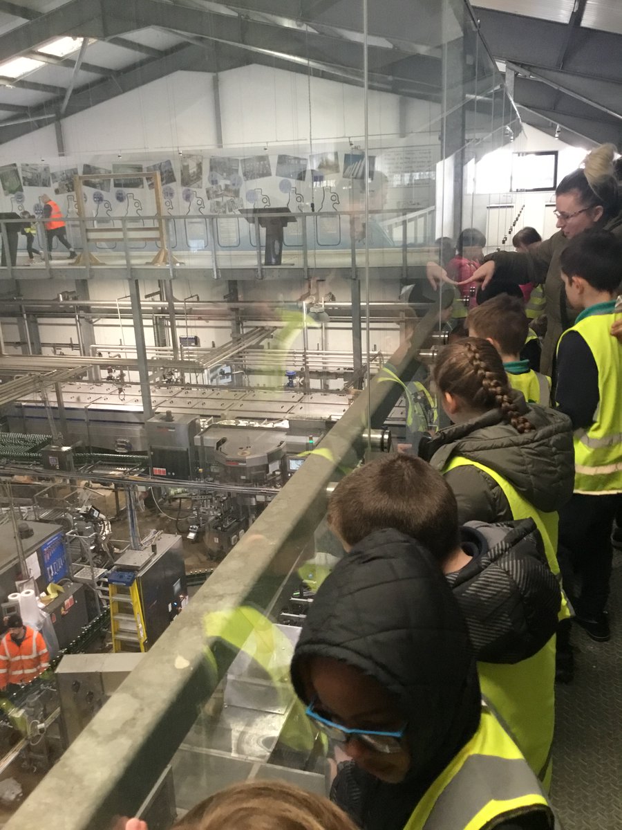 Camel Class had the best time at Healeys Cyder Farm! We rode on a tractor, saw some farm animals, tasted some apple juice and even drove a sports car! #TeamTregolls