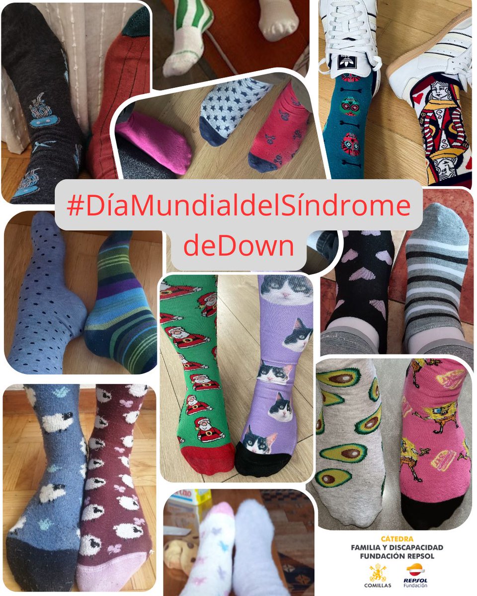 Cátedra Familia y Discapacidad Fundación Repsol (@catedrafyd) on Twitter photo 
