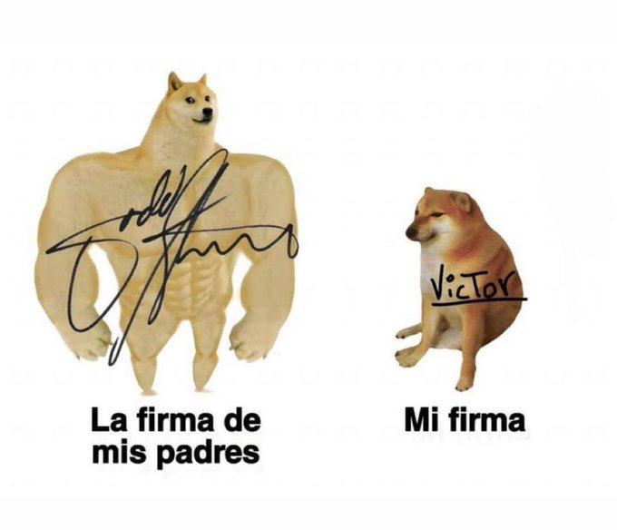 itsD3lay🐧 (@itsd3lay) on Twitter photo 