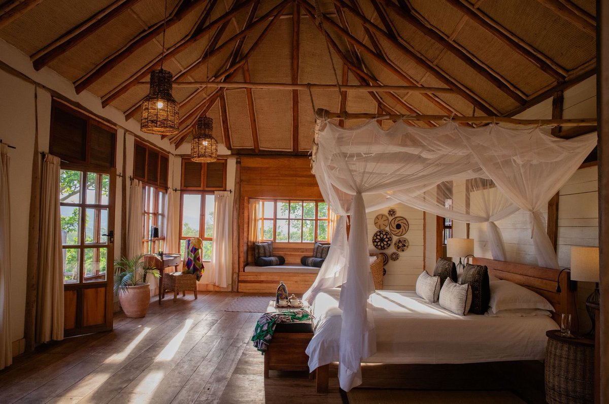 We are delighted to launch a new chimpanzee safari. Book before 31 May 2025 and receive a complimentary night at Kyambura Gorge Lodge worth up to $1,570 and a free chimp permit worth $250 at Kibale Lodge. encr.pw/pSC4z