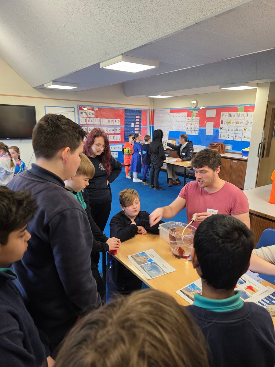 Year 6 had a fantastic morning meeting people from different job sectors. They met Volcanologists, the Police, Crime Unit Investigation, The Royal Navy and an eye surgeon. They learnt about what their jobs entail and how to aspire to work in that sector. #TeamTregolls