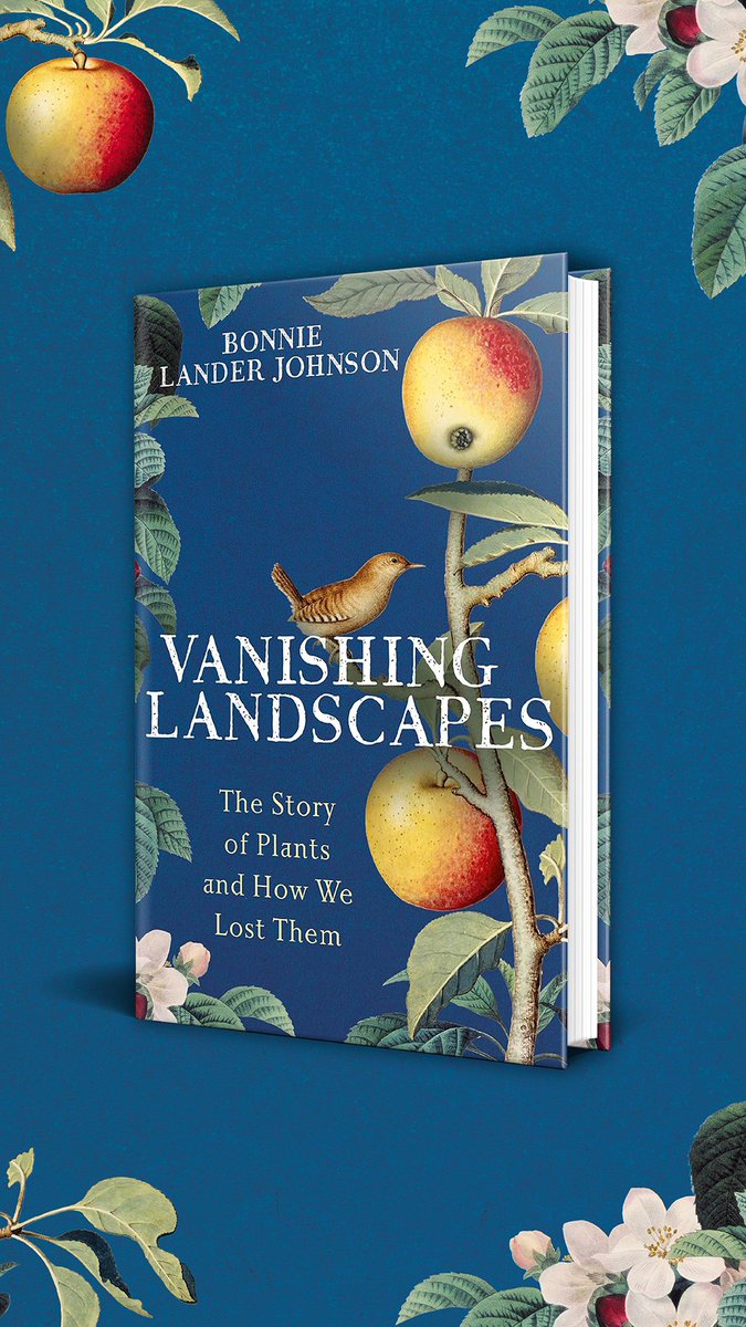 Bonnie Lander Johnson tweet media