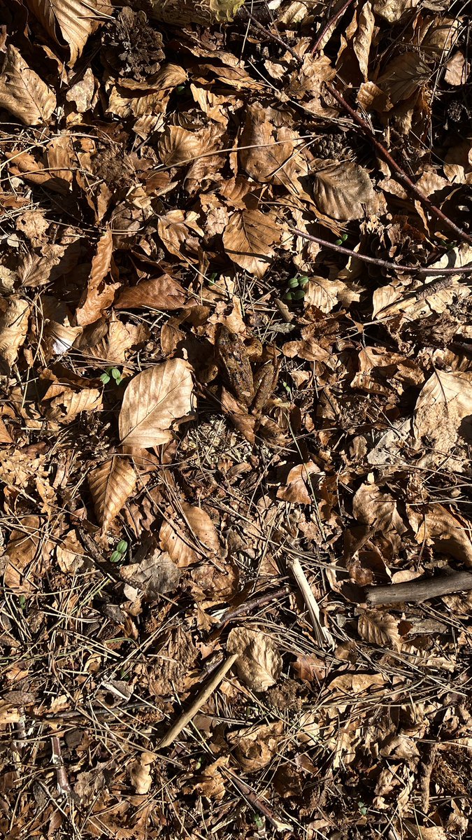 NONPAINTSTORE tweet media