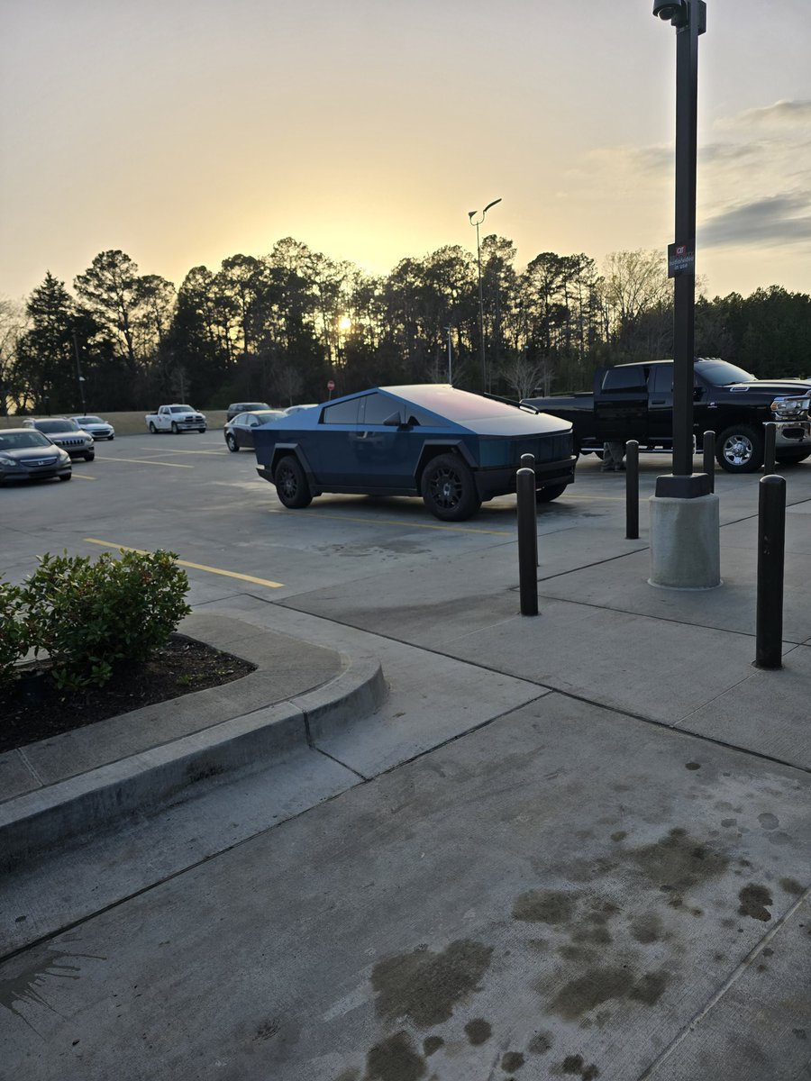 Joe Public tweet media