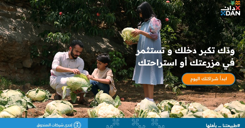 DanCompanySA's tweet photo. من البداية لآخر لحظة، نرسم معك طريق النجاح ونساعدك تحوّل مزرعتك أو استراحتك لوجهة سياحيّة كلها حياة وتصير لك مصدر دخل مربح. 🌴✨ 

#طبيعتنا_بأهلها