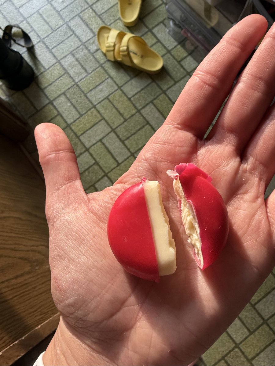 Melissa F 🌈 tweet media