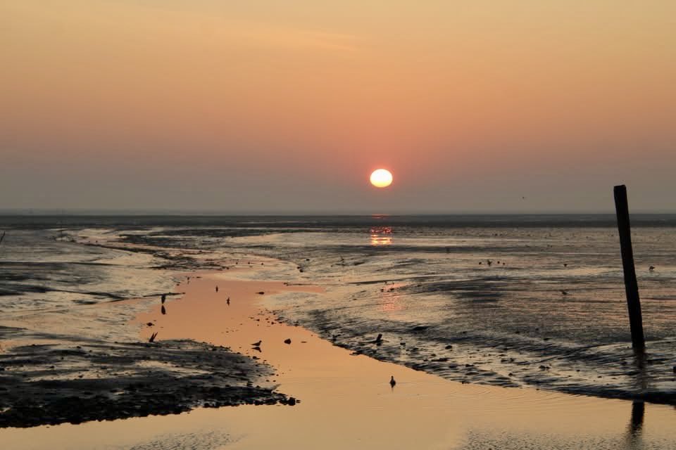 21 maar, opkomst zon bij het haventje van Sil op Texel