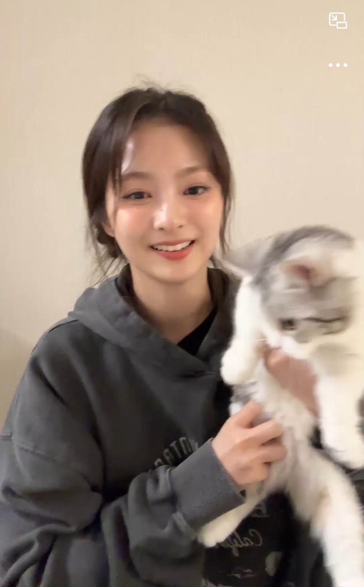 Nagyung's new cat, Ari has joined the family