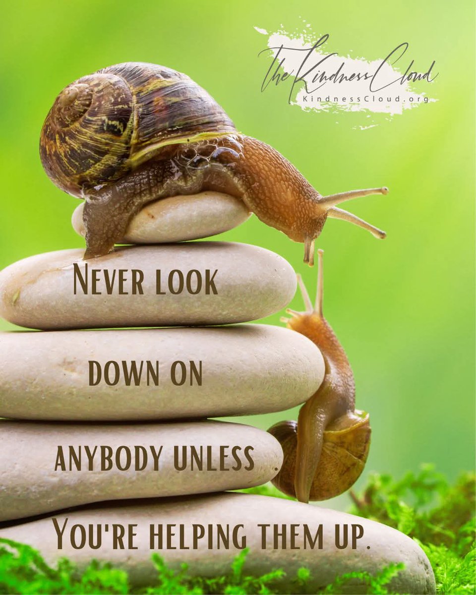 slocum_jan's tweet photo. #seasonoflove #neverlook #down #helping #up #fridaythoughts #fridayfeeling https://t.co/PbYnWmNndG