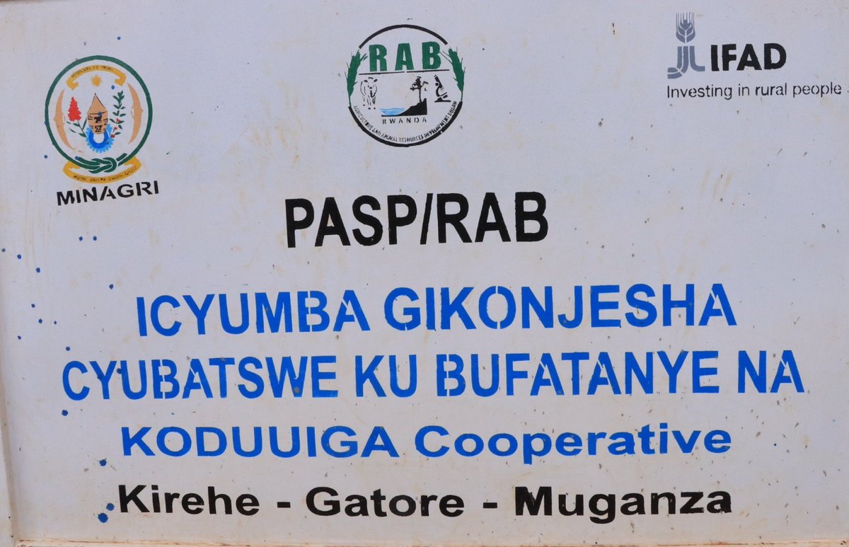 KireheDistrict's tweet photo. Abadepite bagize Komisiyo y'ubutaka,ubuhinzi, Ubworozi n’Ibidukikije basuye ibikorwa byerekeranye n’ubuhinzi birimo:
➡️Ubuhunikiro bwubatse bufasha abahinzi
➡️Ubwanikiro iyo bamaze gusarura imyaka
➡️Imikorere ya Koperative z'ubuhinzi
#DepiteMuBaturage https://t.co/NUZsVVsz1k