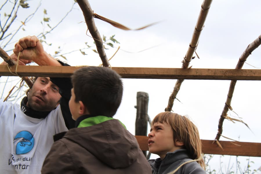 SEO/BirdLife-Delta de l'Ebre tweet media