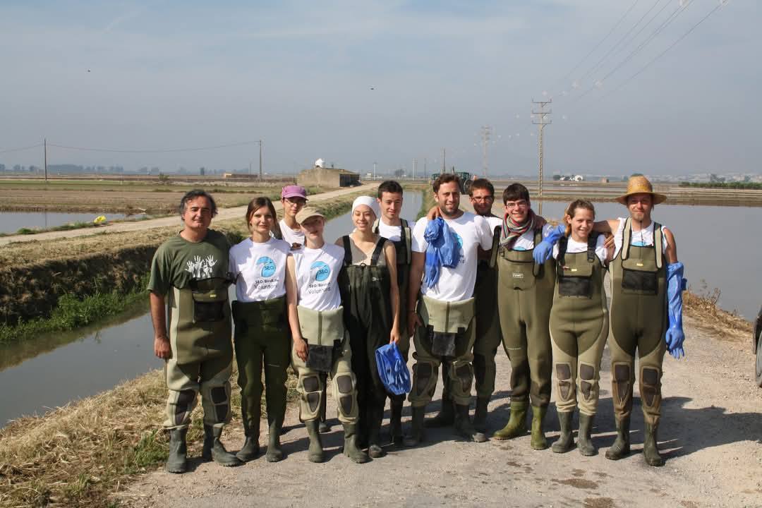 SEO/BirdLife-Delta de l'Ebre tweet media