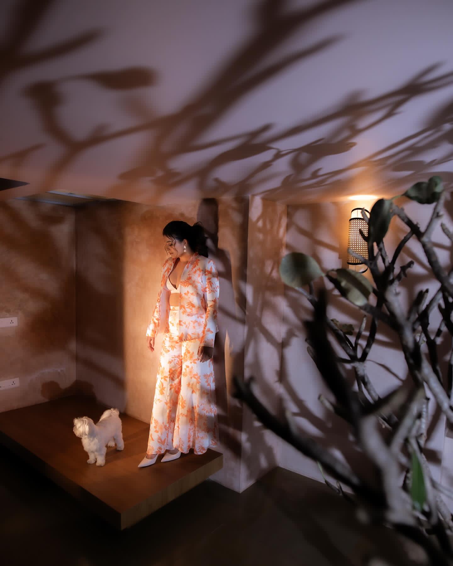 GmkTmlMaMAACoGb?format=jpg&name=large