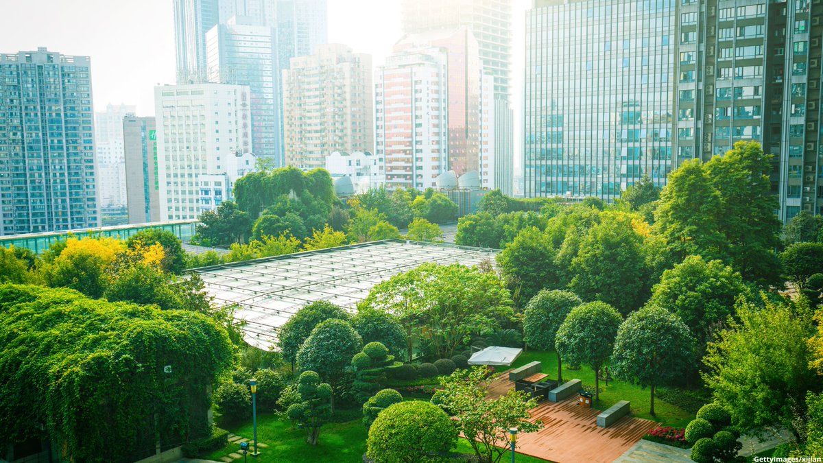It’s #ForestDay !🌳 Our #PearlOfTheDay is

"urban forestry"

the care and management of trees in cities, helping to create greener and healthier urban spaces

Learn more in #wipoPearl👉bit.ly/4bIY2xu - done with <a href="/ctismanchester/">CTIS Manchester</a> 🇬🇧
