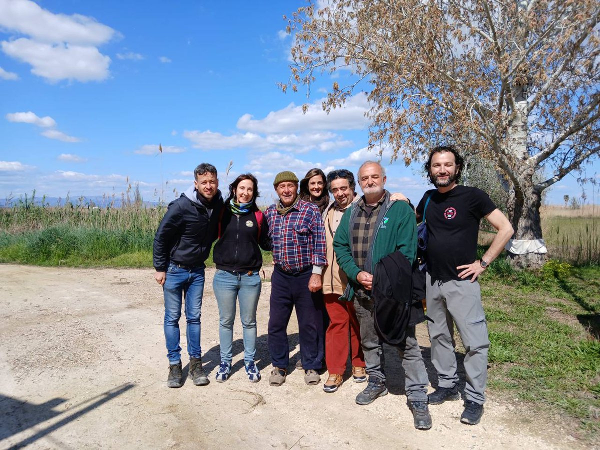 SEO/BirdLife-Delta de l'Ebre tweet media