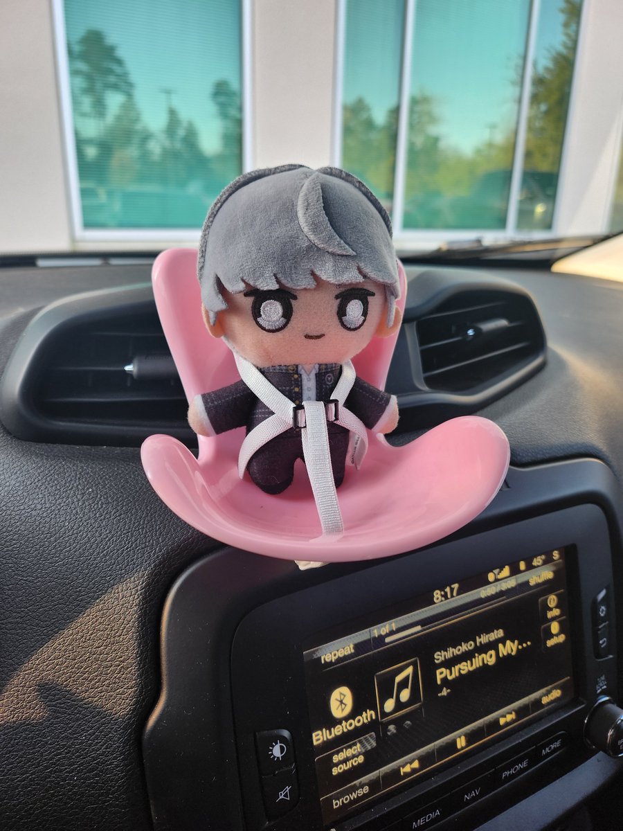 my sister got me something amazing for my car
