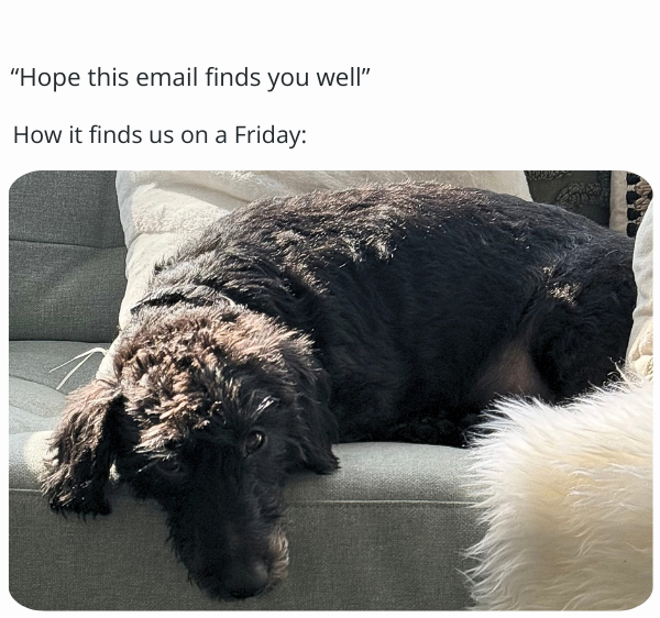 It's been a busy 2025 at Big Pond😁

Have a restful weekend everyone!

#happyfriday #officedog #ayrshire #scotland