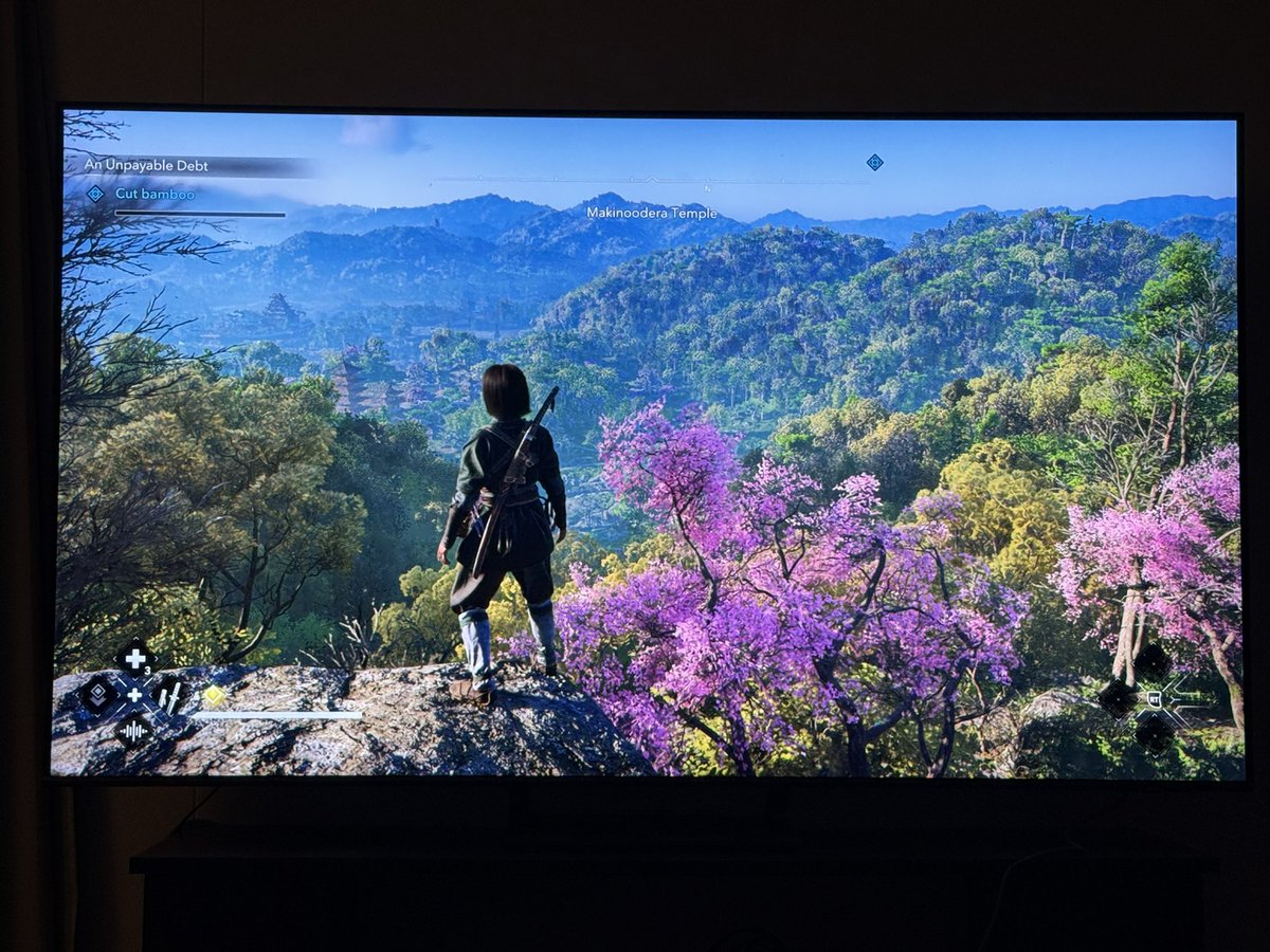 Daily Posts tweet media