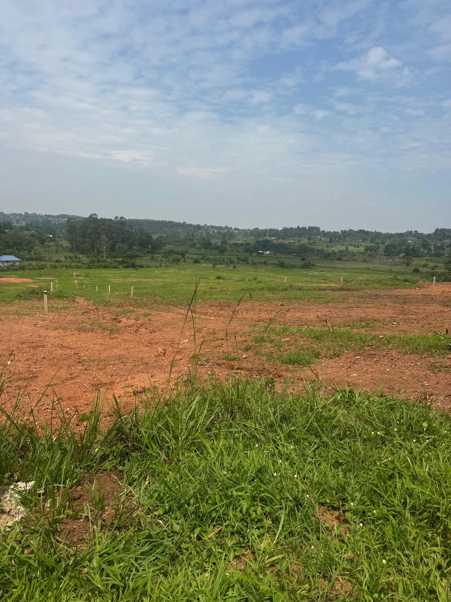 KalwinUg's tweet photo. Build your dream home in a well planned Gayaza-kiwenda Estate.  8( 50 by 100) plots with ready land titles are available, at only UGX 35 M each.
For more inquiries contact +256702300812.
#buynow 
#Available https://t.co/uFVVVx9H1E