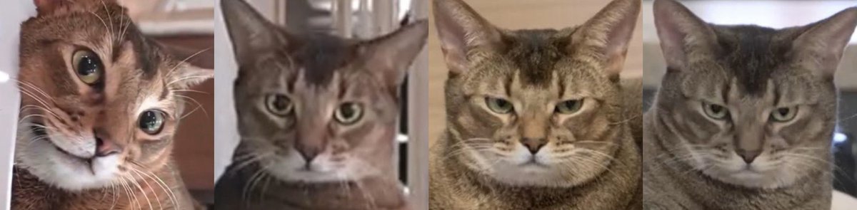 อารมณ์กูในหนึ่งวัน :