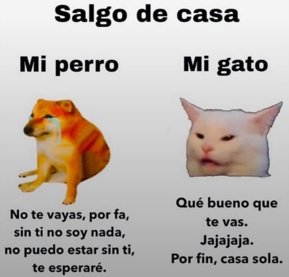 EnsedeCiencia's tweet photo. https://t.co/IxKh3oASTv