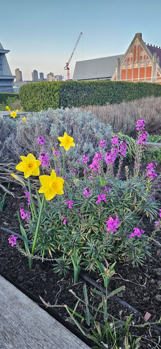 A beautiful evening with <a href="/HachetteMuslims/">Muslim Employee Network</a> nyaming biryani on the iconic 6th Story. Thank you for welcoming us into your community  — I had the best time and it was so well organised ❤️