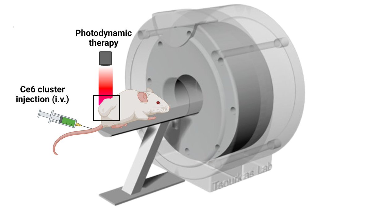NIBIB (@nibibgov) on Twitter photo We have drugs that can kill cancer cells but using them to eradicate tumors while sparing healthy tissue is challenging. <a href="/pennbioeng/">Penn Bioengineering</a> researchers are using a targeted approach that applies magnetism to spread therapeutics within tumors. Find out how: go.nih.gov/G77siKL We have drugs that can kill cancer cells but using them to eradicate tumors while sparing healthy tissue is challenging. <a href="/pennbioeng/">Penn Bioengineering</a> researchers are using a targeted approach that applies magnetism to spread therapeutics within tumors. Find out how: go.nih.gov/G77siKL