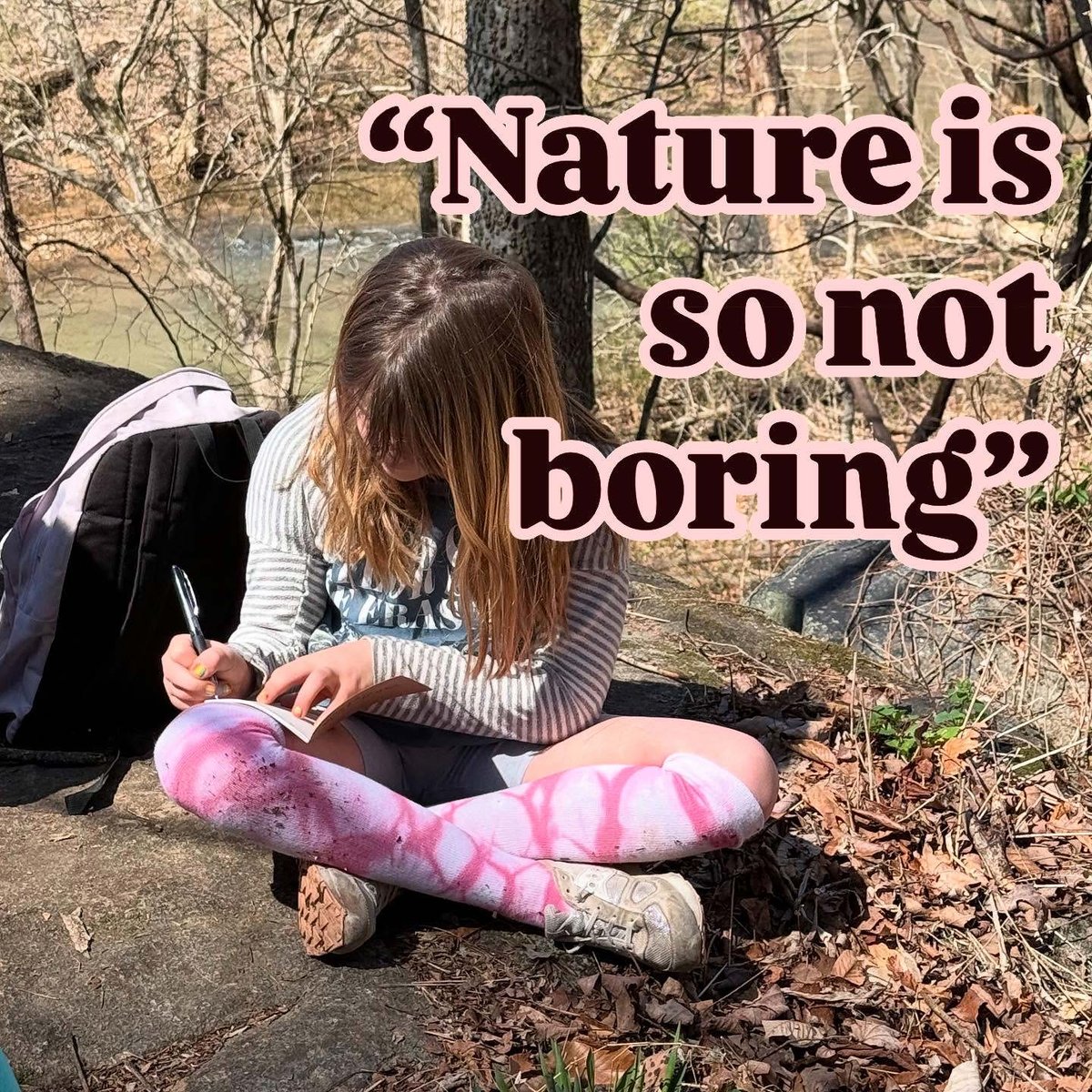 Forest View Elementary tweet media