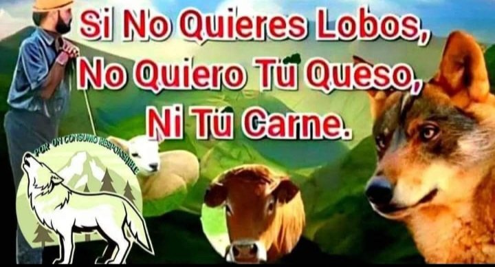 <a href="/WWFespana/">WWF España 🐼</a> <a href="/ppopular/">Partido Popular</a> <a href="/vox_es/">VOX 🇪🇸</a> <a href="/eajpnv/">EAJ-PNV</a> <a href="/JuntsXCat/">Junts per Catalunya🎗</a>