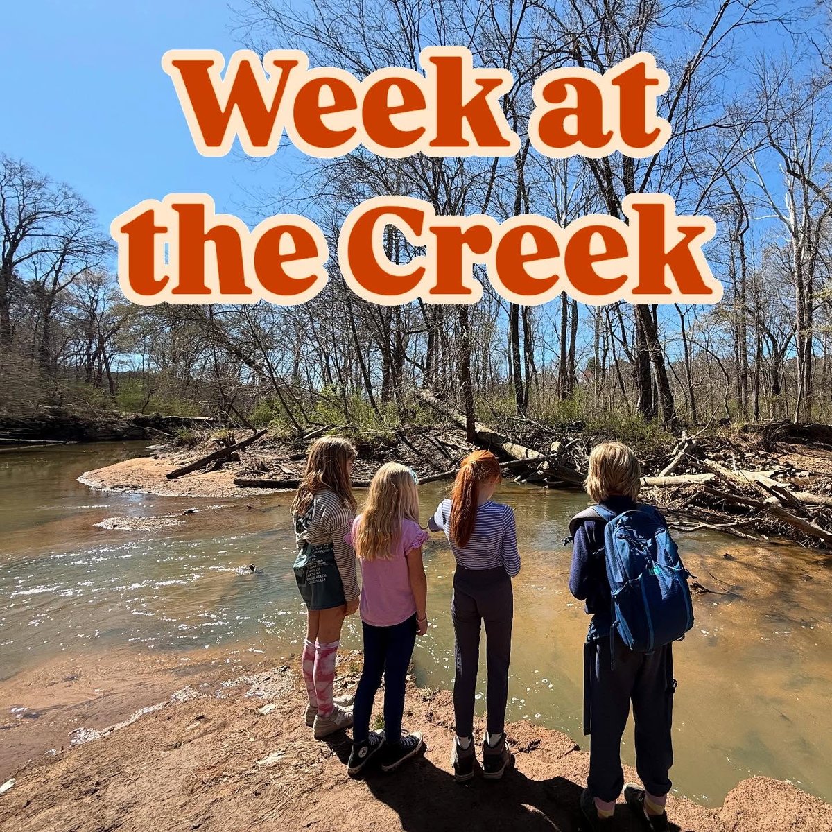 Forest View Elementary tweet media