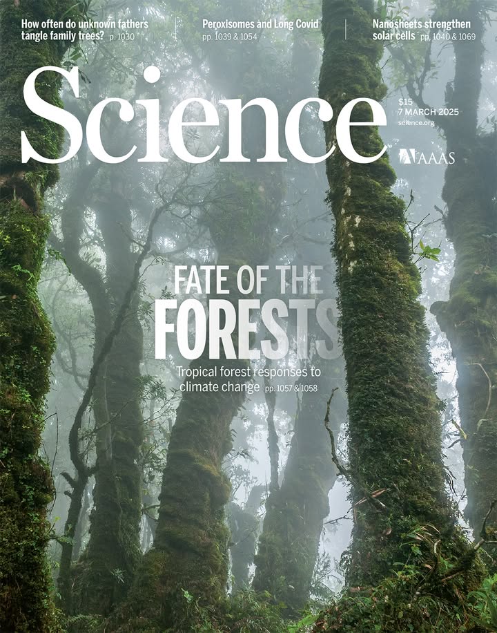 In Mesoamerican cloud forests, climate change and deforestation are leading to plant species moving upslope. However, an analysis of forest plant traits from across the tropical Americas suggests that forests are not changing fast enough to keep up with climate change.

Learn