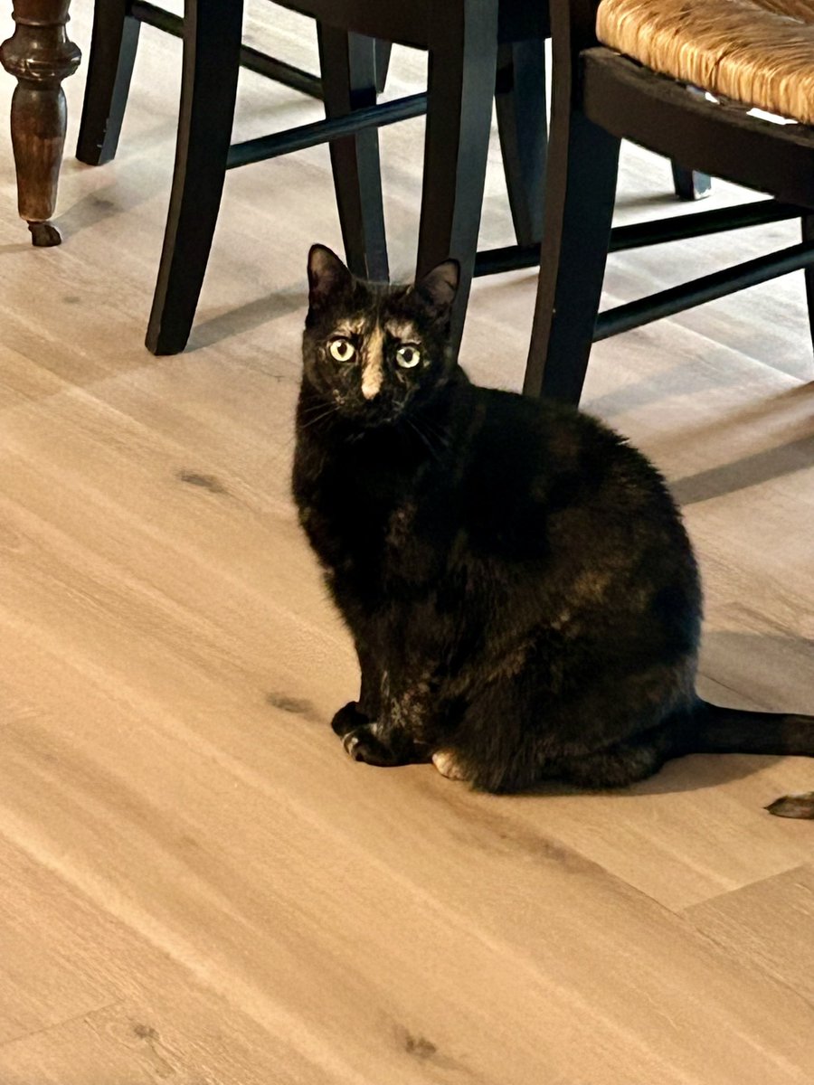 Moxie is now in charge of content. tweet media