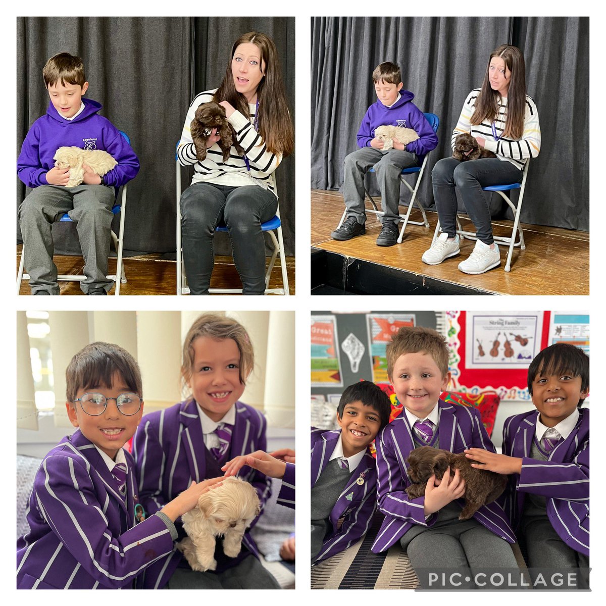 Emma Mousley tweet media