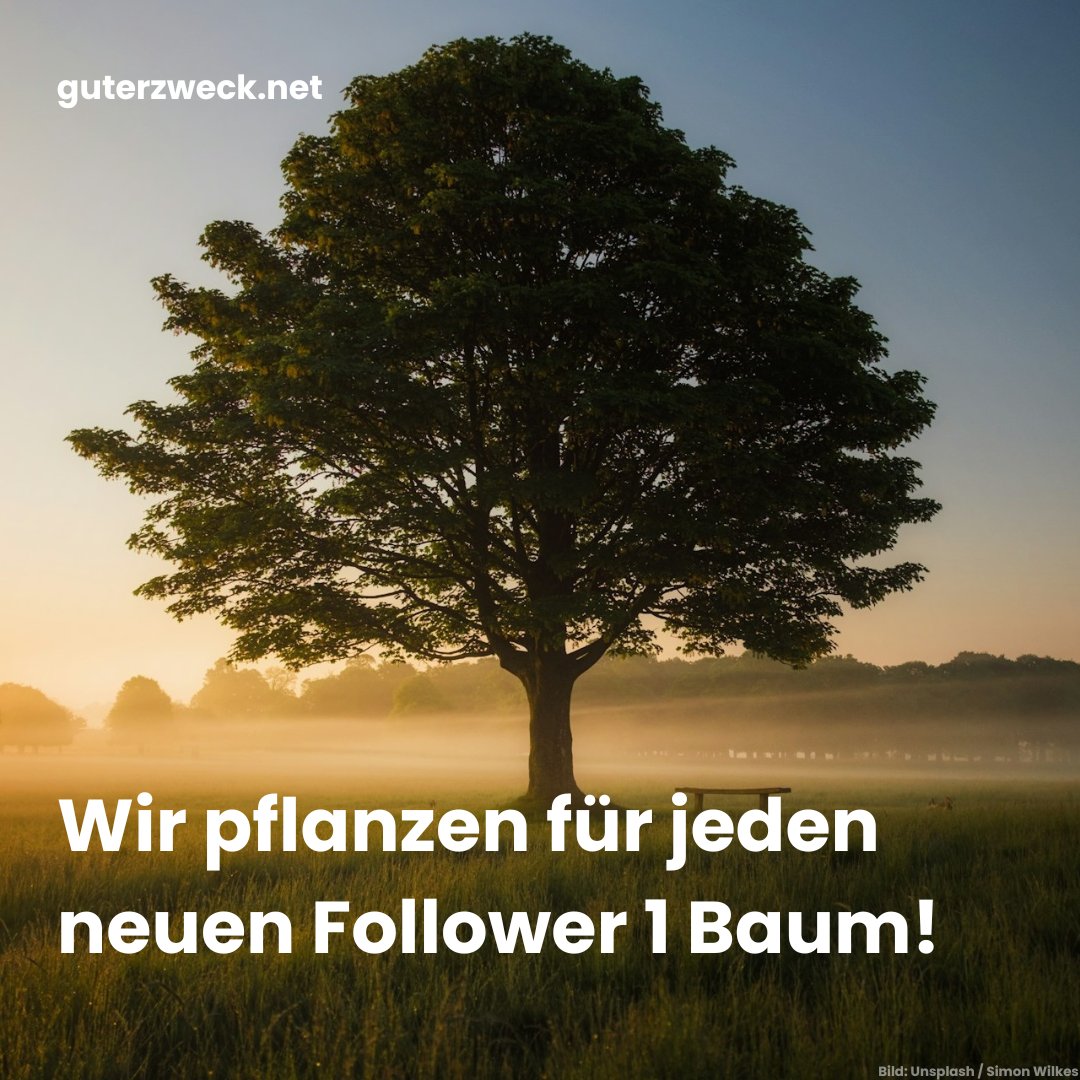 guterzweck.net tweet media