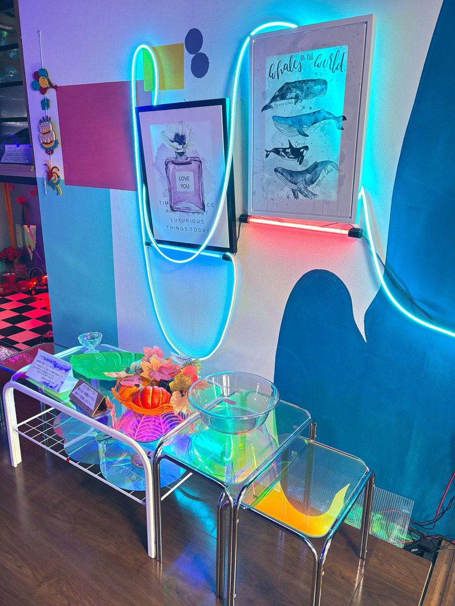 ネオン壊れたので色🟣▶️🩵変えました
#スタジオアソート