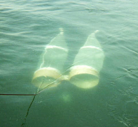 normandeauassoc's tweet image. Publication announcement! Both retired and current Normandeau scientists collaborated in a recently published study. To read the article in its entirety, visit: spo.nmfs.noaa.gov/content/struct…  
#Normandeau #environmentalscientists #environmentalexperts #publications #scholarlyarticle